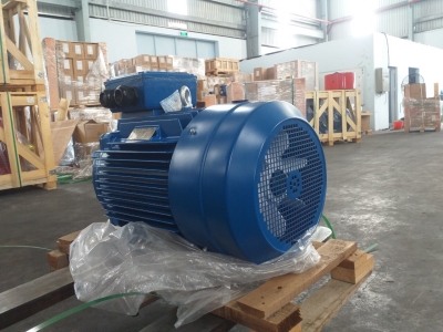 Động cơ chân đế Elecktrim EM100LB-4 3Kw